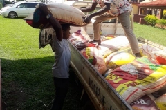 1_Giving-back-to-homeland-by-IJPDE-IJUCNA.-49