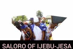 INSTALLATION-OF-SALORO-3