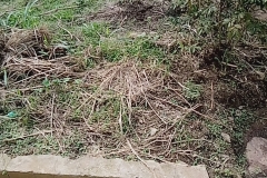 OLUOMO-OF-EGBOROLAND-3